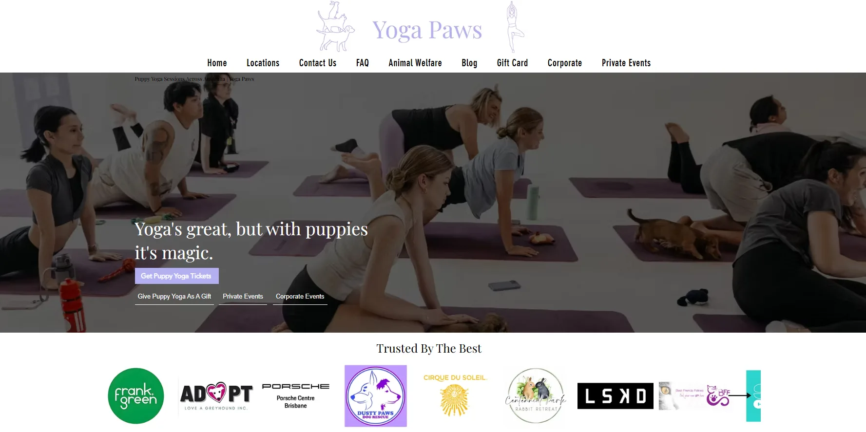 Yoga Paws Brisbane