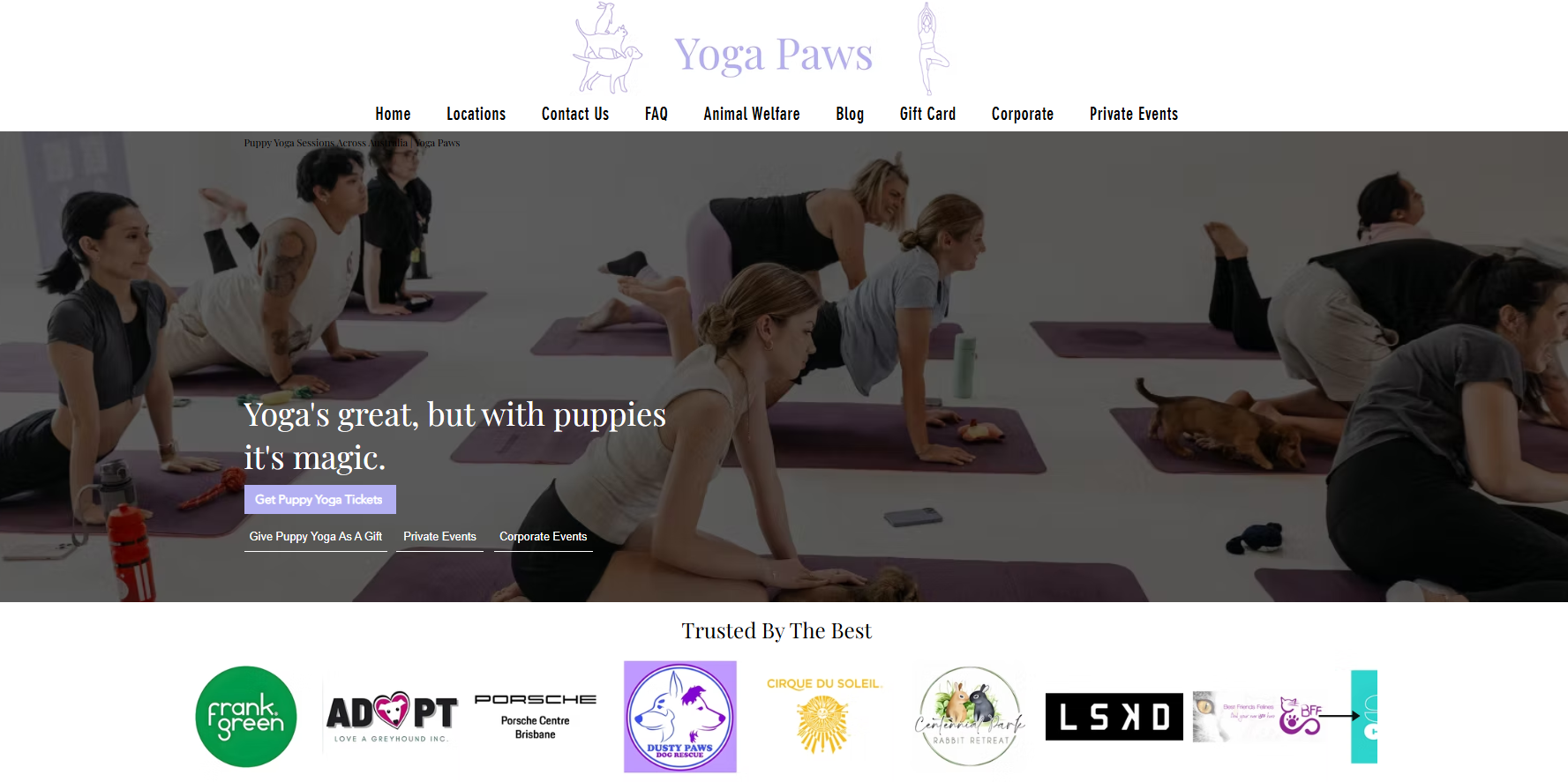 Yoga Paws Brisbane